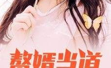 赘婿当道小说,逆袭风云，笑傲江湖