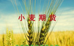 小麦期货,小麦期货市场动态解析与投资策略