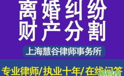 离婚律师咨询免费,揭秘婚姻破裂背后的法律奥秘