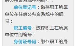 公积金对账单,全面掌握个人公积金账户动态