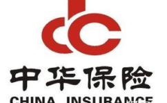 中国保险公司,守护国民财富的金融卫士