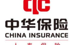 中国保险公司,守护国民财富的金融卫士