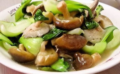 香菇菜谱,探索各式香菇佳肴