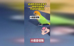 吃瓜鹅娱乐速报海蓝之谜,揭秘明星宠爱的护肤圣品