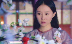 娱乐圈采花,揭秘明星们的“采花”传奇