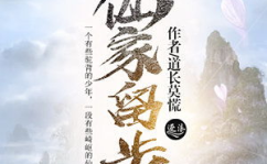 赘婿当道小说,逆袭风云，笑傲江湖