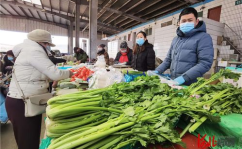 石家庄桥西蔬菜批发市场,华北地区蔬菜集散枢纽