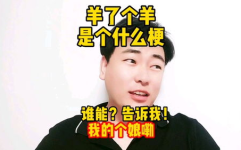 今天娱乐热搜榜前十名,今日娱乐热点盘点，前十名明星动态一览无遗”