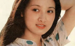 大陆最美的女演员,光影中的璀璨明珠