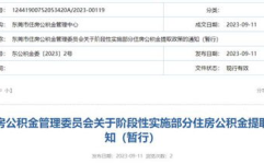 东莞住房公积金查询,一站式了解您的公积金详情