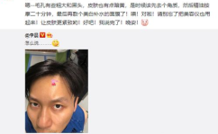 阿猪娱乐圈,揭秘明星幕后故事，带你走进璀璨星光背后的世界