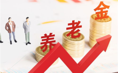 2020养老金上涨,全国统筹提速，退休人员福利再提升