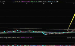 股票002668,揭秘潜力股的投资价值与未来展望