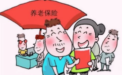 养老保险的种类,了解不同类型保障，规划美好晚年
