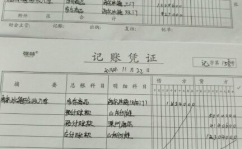 会计记账凭证,精准财务管理的基石