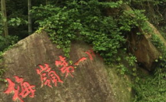 梅岭风景区,感受自然之美