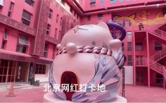 五只猫娱乐公司,打造多元化娱乐生态的领军者