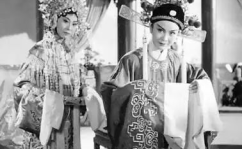 黄梅戏女驸马歌曲,黄梅戏经典女驸马唱响爱情传奇