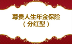 新华保险尊贵人生,全方位保障与理财规划的理想选择”