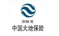 中国保险公司,守护国民财富的金融卫士