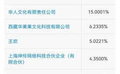乐华娱乐股东,资本力量如何塑造娱乐帝国