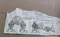 密山市邮编,探寻东北边陲的邮政印记