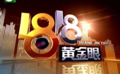 浙江6频道直播,精彩赛事与城市活力共舞